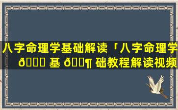 八字命理学基础解读「八字命理学 🐘 基 🐶 础教程解读视频」